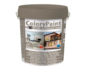 BAIXENS-  BX 250 ColoryPaint Platinum label 15L blanco 